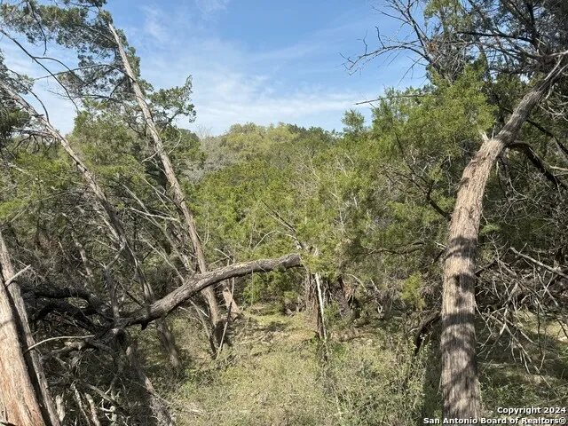 397 CEDAR DR Canyon Lake, TX 78133