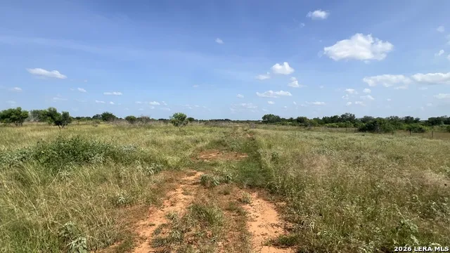 4167 County Road 136 Floresville, TX 78114