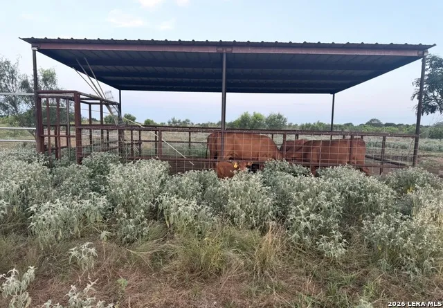 4167 County Road 136 Floresville, TX 78114