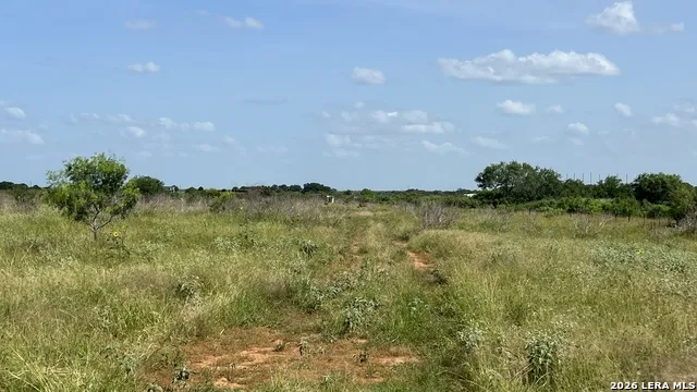 4167 County Road 136 Floresville, TX 78114