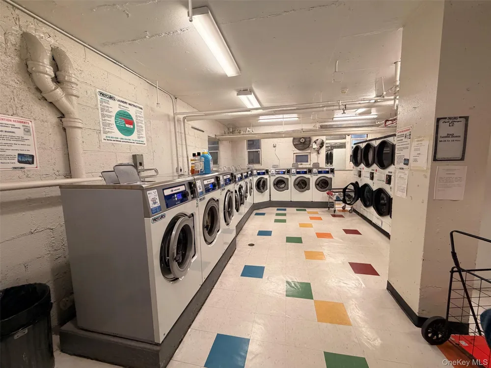 138-10 Franklin Avenue ##11B Flushing, NY 11355
