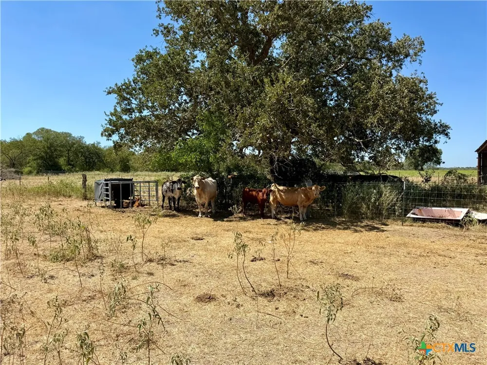 3148 FM 795 Gonzales, TX 78629