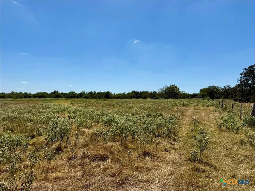 3148 FM 795 Gonzales, TX 78629