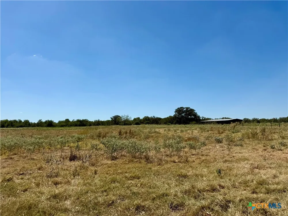 3148 FM 795 Gonzales, TX 78629