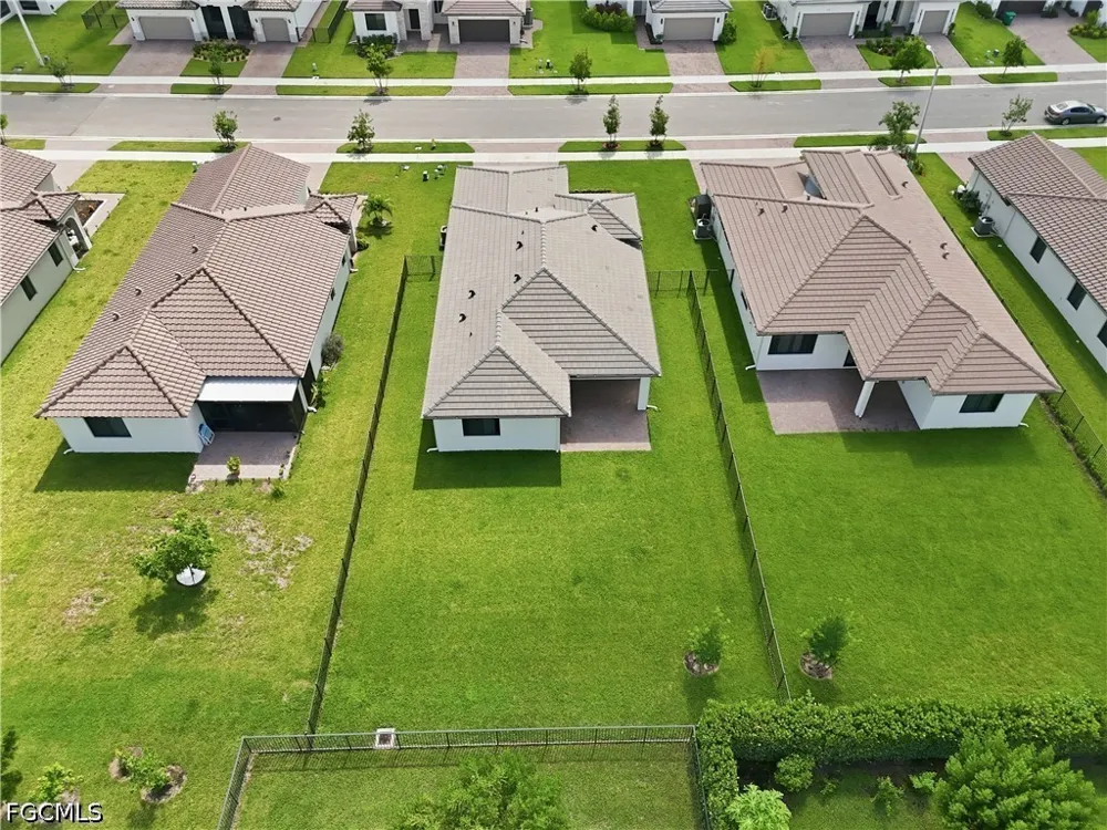 Penella Avenue Ave Maria, FL 34142