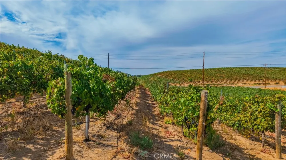 Monte De Oro Temecula, CA 92592