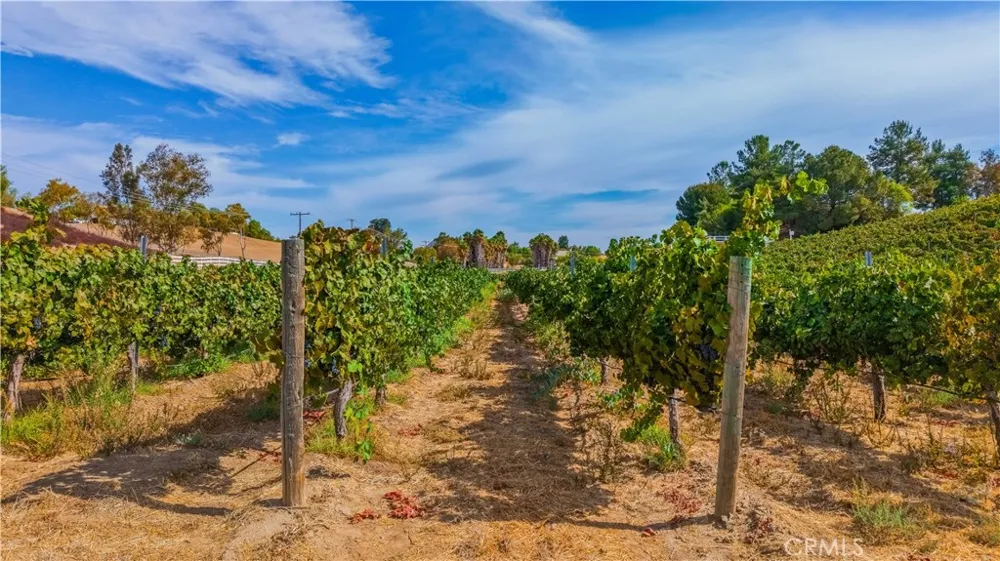 Monte De Oro Temecula, CA 92592