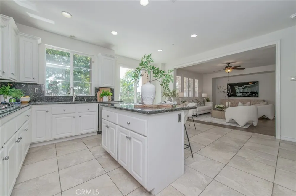 17 Paseo Canos San Clemente, CA 92673