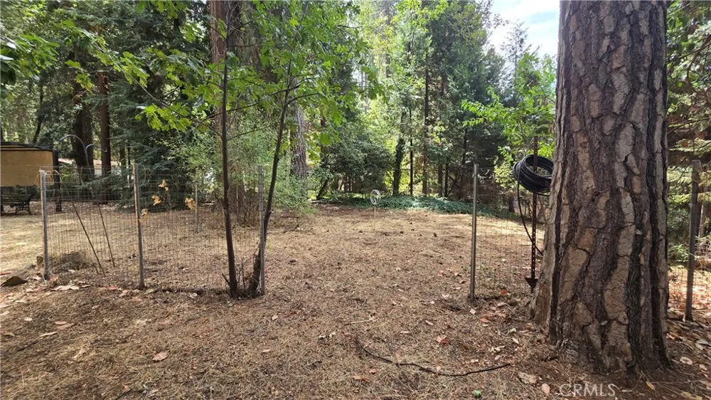 6566 Woodward Magalia, CA 95954