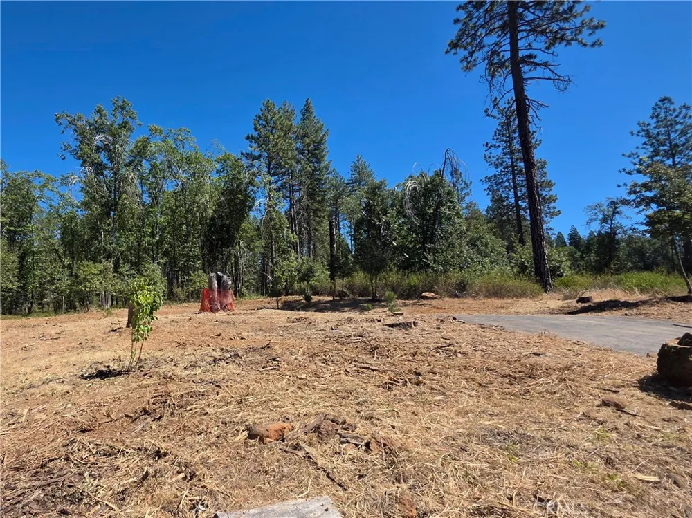 6187 Linda Lee Court Magalia, CA 95954