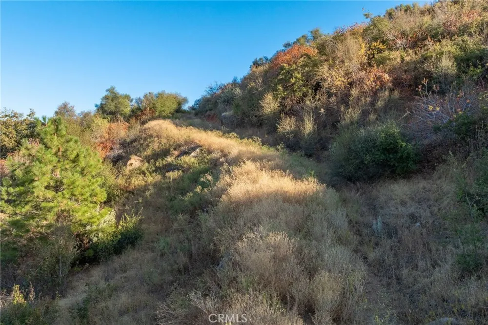 HWY 41 Oakhurst, CA 93644
