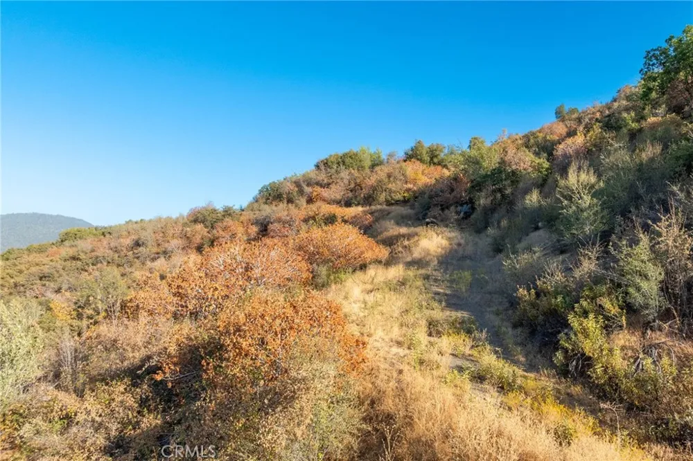 HWY 41 Oakhurst, CA 93644
