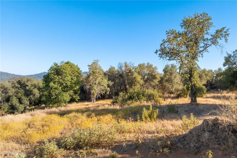HWY 41 Oakhurst, CA 93644
