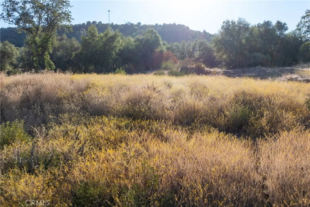 HWY 41 Oakhurst, CA 93644