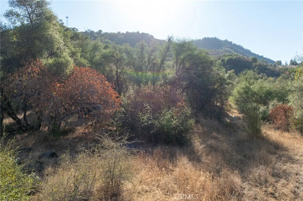 HWY 41 Oakhurst, CA 93644