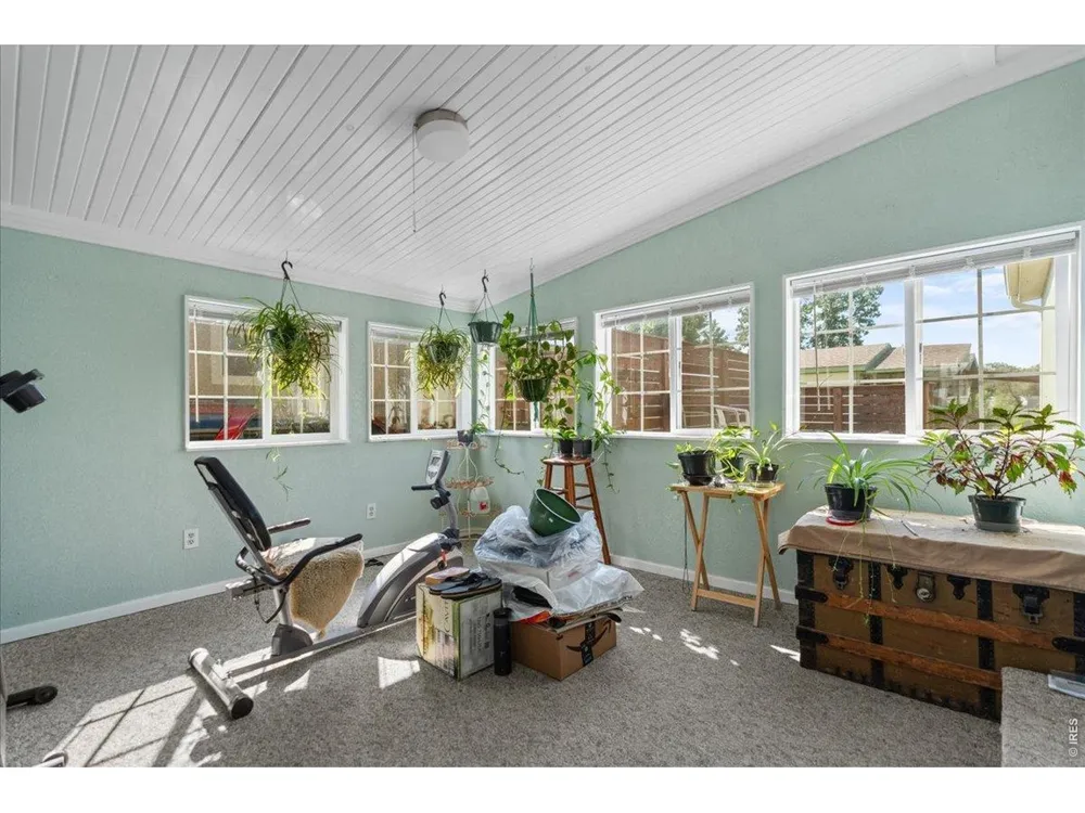 1601 College Avenue #338 Fort Collins, CO 80524