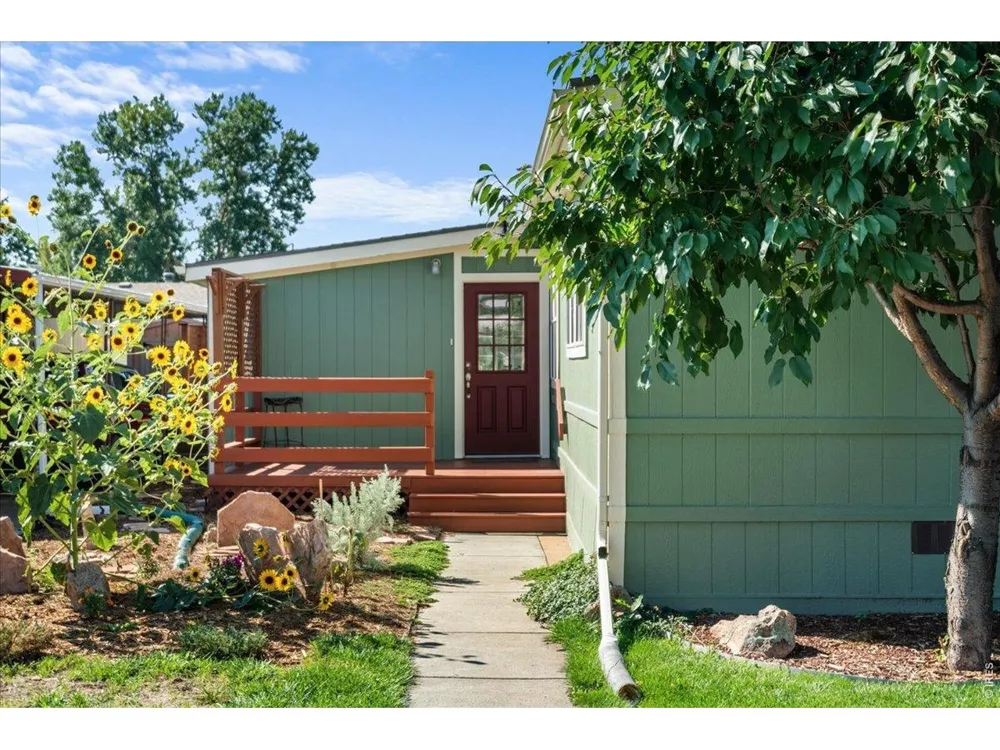 1601 College Avenue #338 Fort Collins, CO 80524