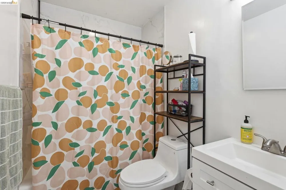 869 Woodside Way San Mateo, CA 94401