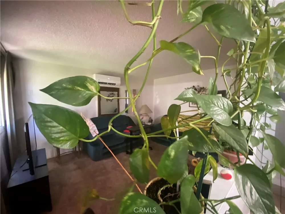 550 Whiteford La Puente, CA 91744