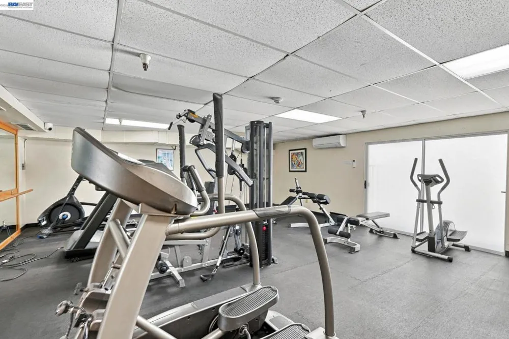 3173 Wayside Plaza #113 Walnut Creek, CA 94597