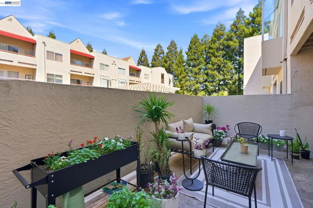 3173 Wayside Plaza #113 Walnut Creek, CA 94597