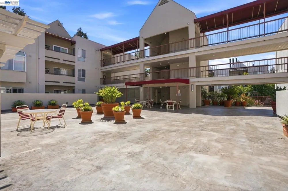 3173 Wayside Plaza #113 Walnut Creek, CA 94597