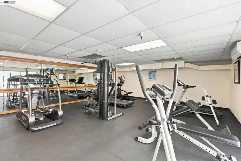 3173 Wayside Plaza #113 Walnut Creek, CA 94597