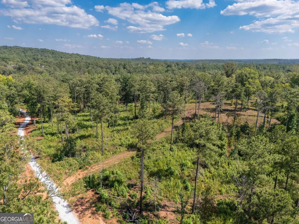 0 Hwy 100 Franklin, GA 30217