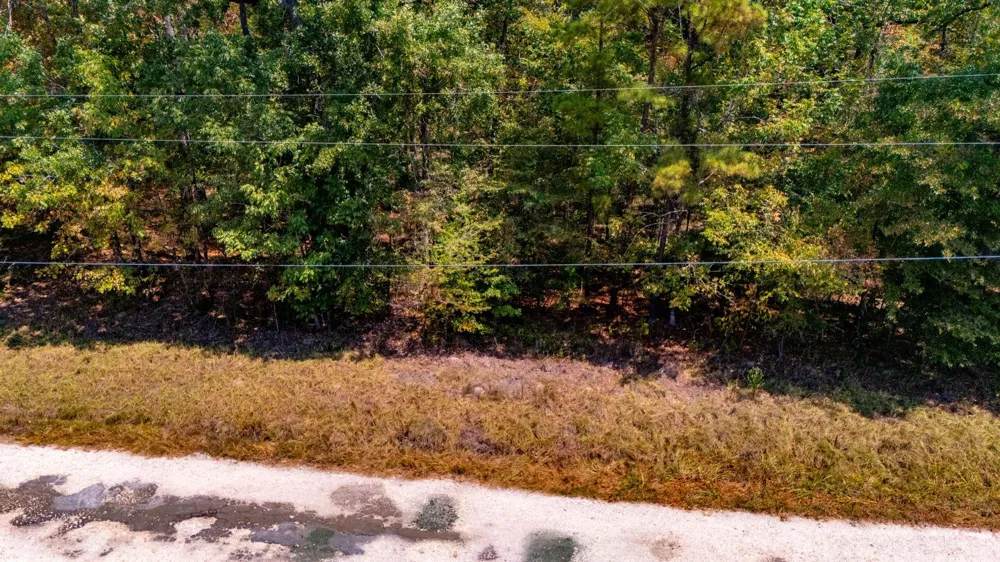 185 Oak Grove Road Huntington, TX 75949