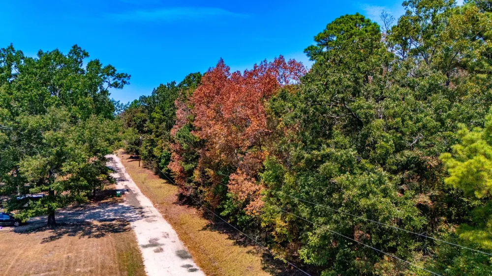 185 Oak Grove Road Huntington, TX 75949