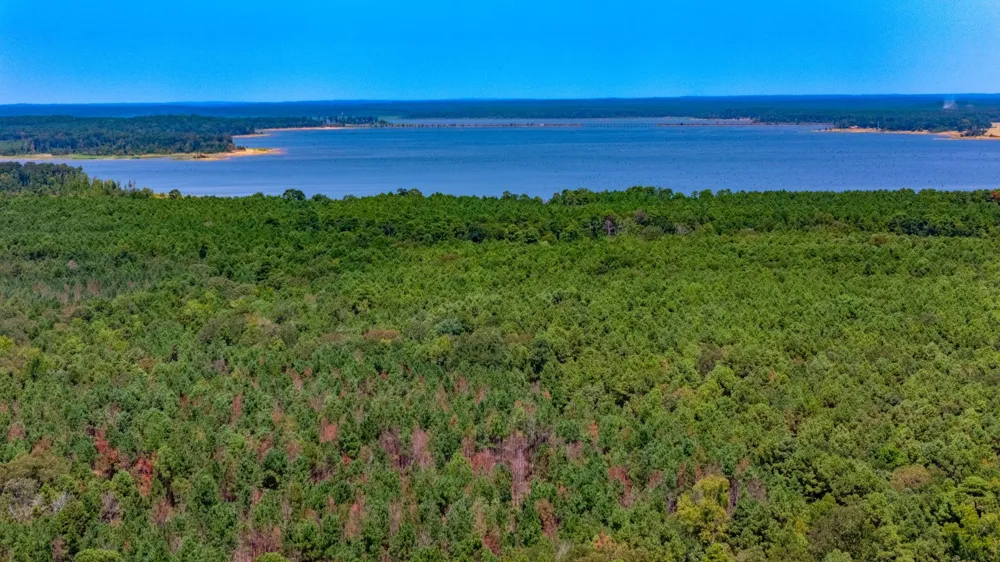 185 Oak Grove Road Huntington, TX 75949