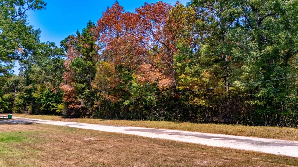 185 Oak Grove Road Huntington, TX 75949