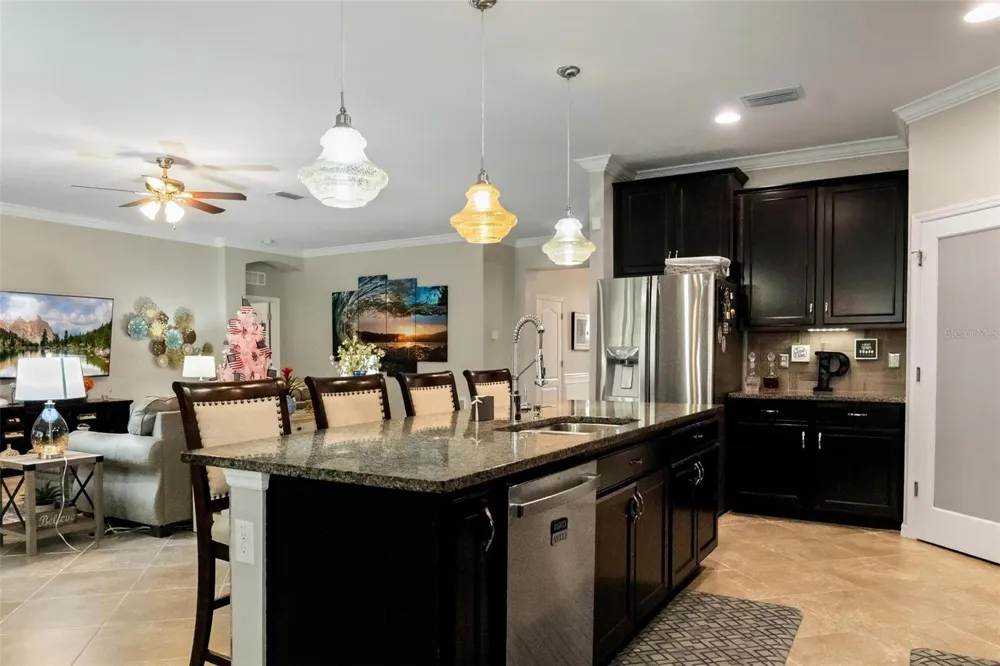 10321 RIVERDALE RISE DRIVE Riverview, FL 33578