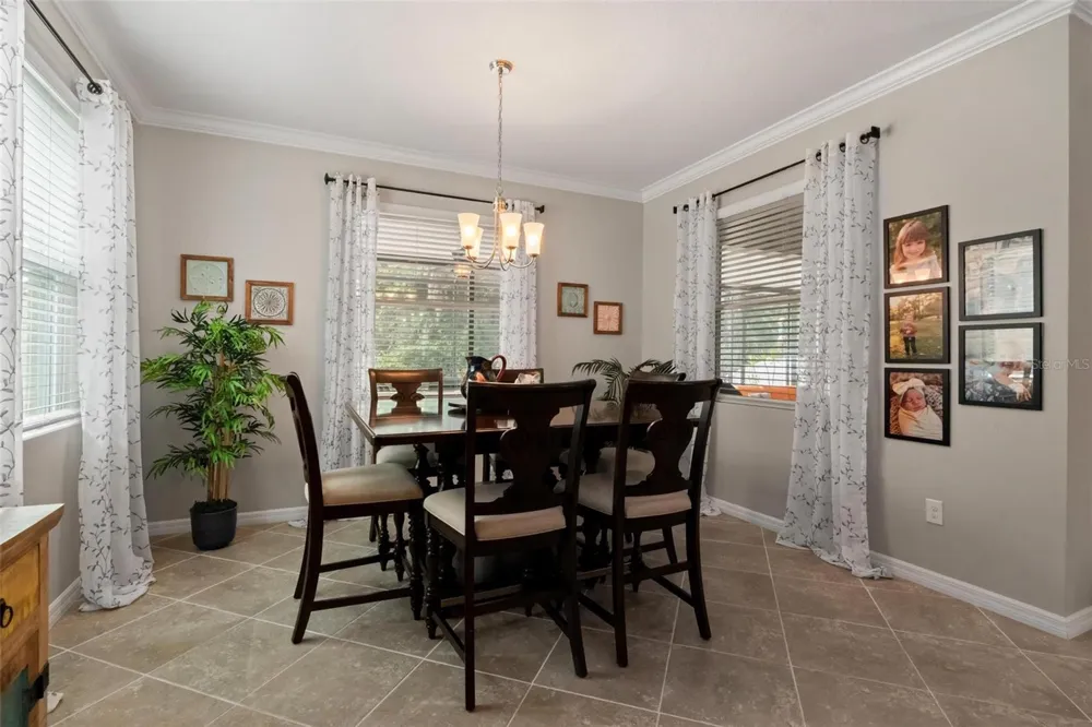 10321 RIVERDALE RISE DRIVE Riverview, FL 33578