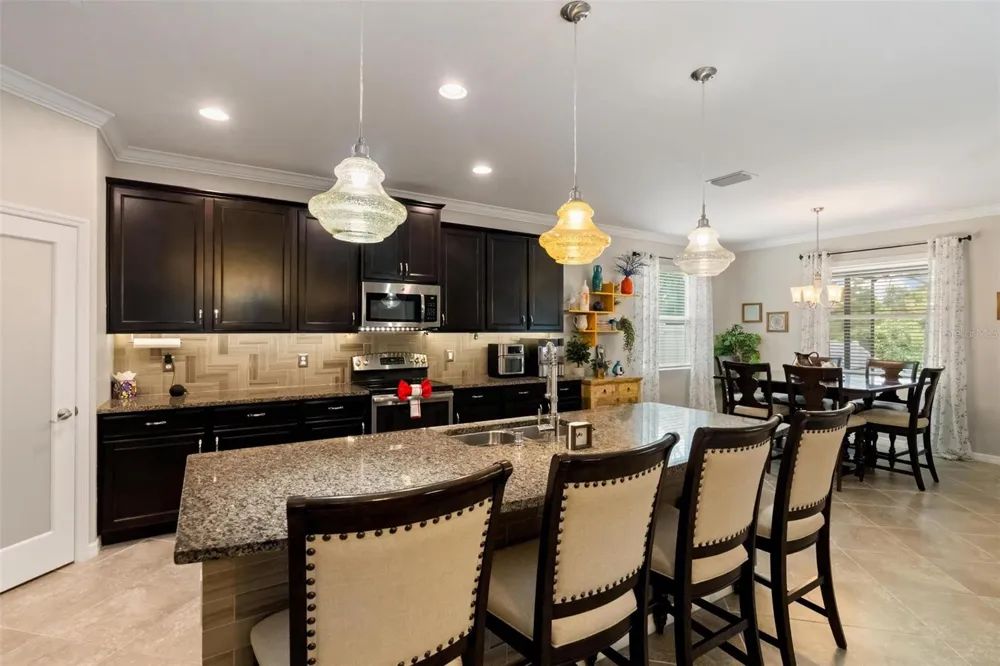 10321 RIVERDALE RISE DRIVE Riverview, FL 33578