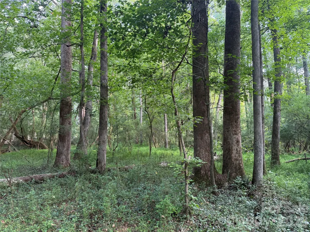 TBD Sincerity Road Monroe, NC 28110