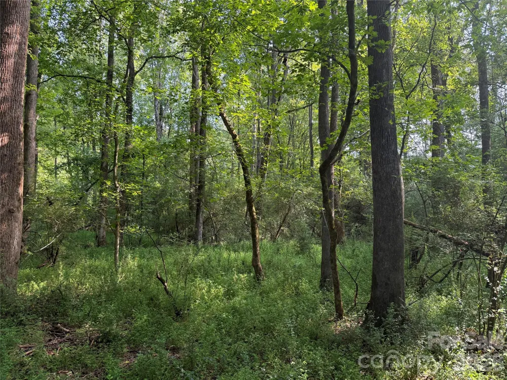 TBD Sincerity Road Monroe, NC 28110