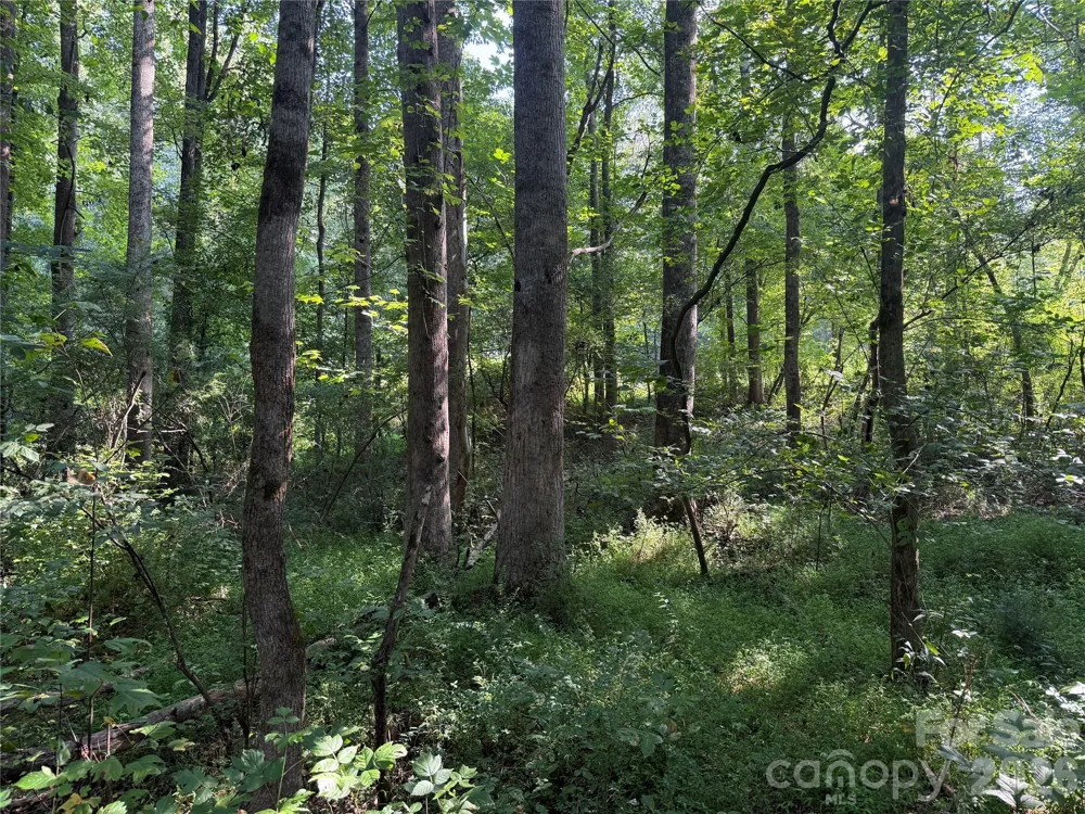 TBD Sincerity Road Monroe, NC 28110