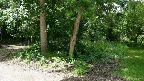 Johnson Drive | Lot 4