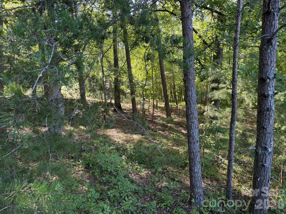 0 Liles Lane Statesville, NC 28625