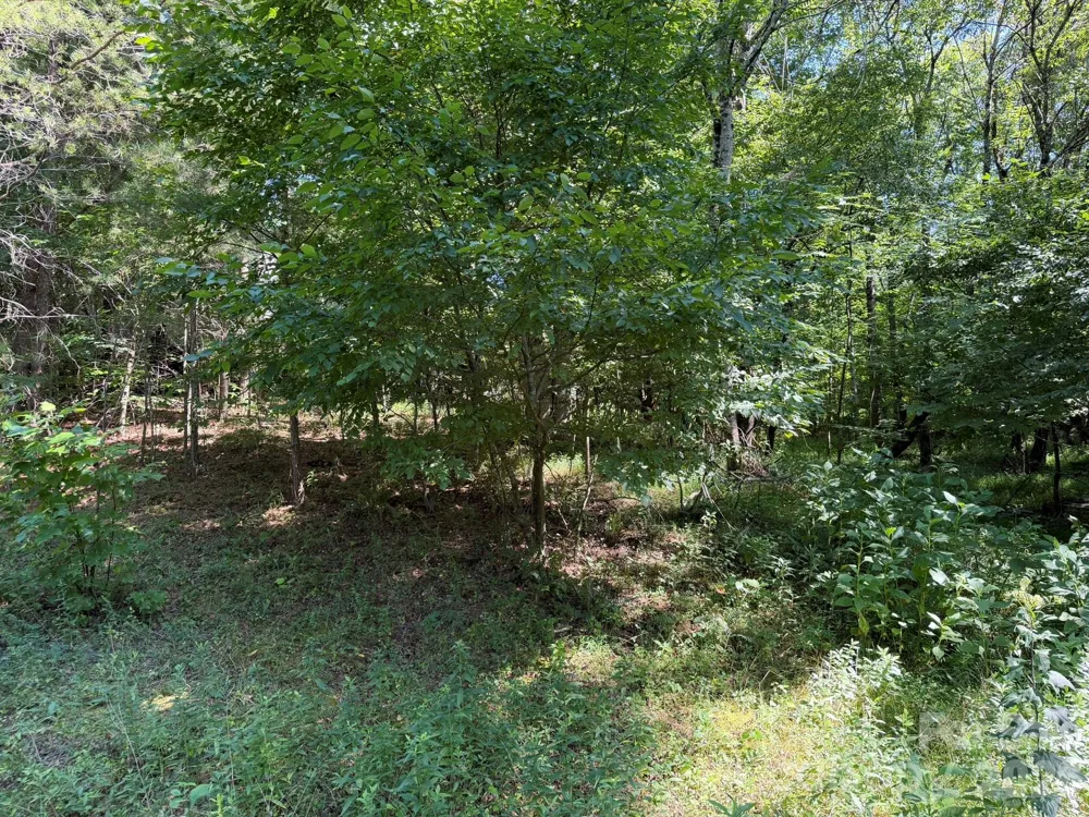 0 Liles Lane Statesville, NC 28625