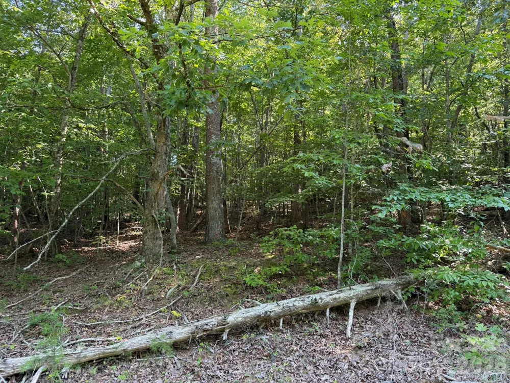 0 Liles Lane Statesville, NC 28625