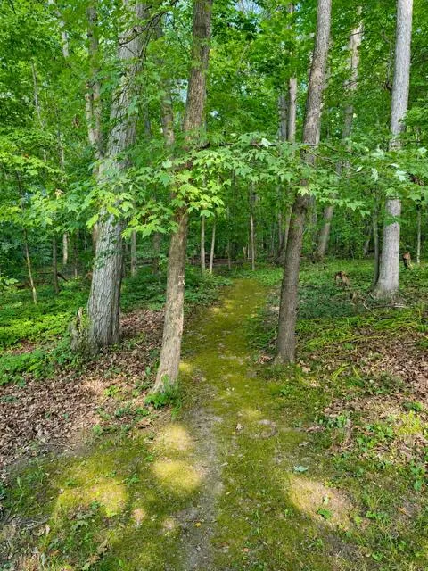 8310 Mccords Avenue SE Alto, MI 49302
