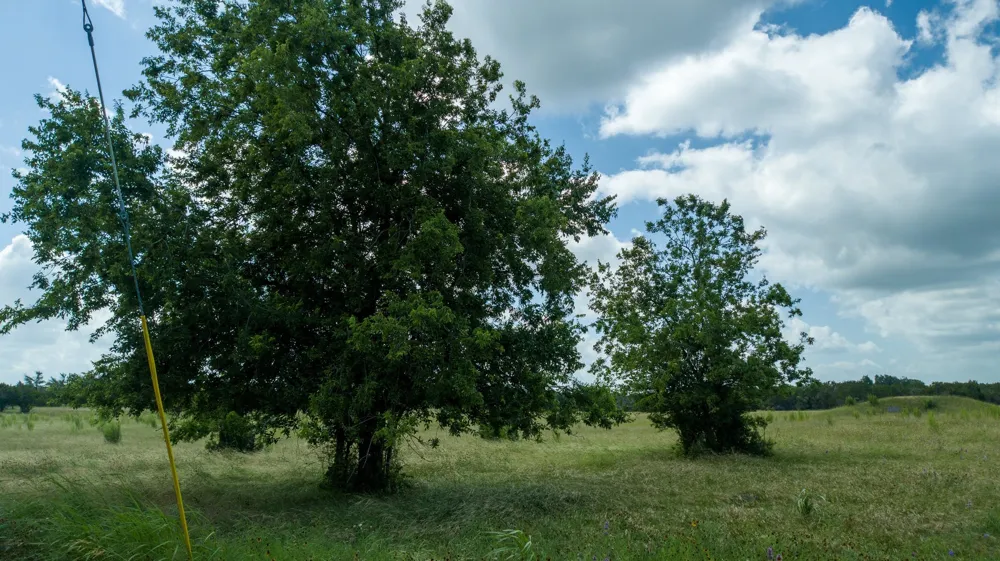 501 Myers Creek Road Dripping Springs, TX 78620