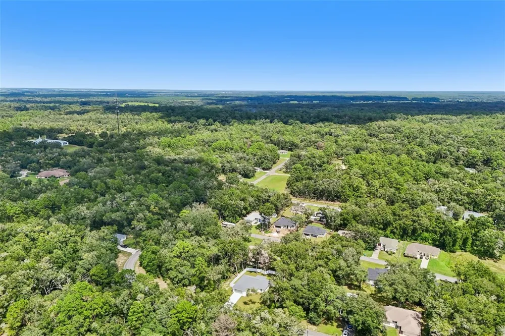 1194 W VIRGINIS DRIVE Citrus Springs, FL 34434