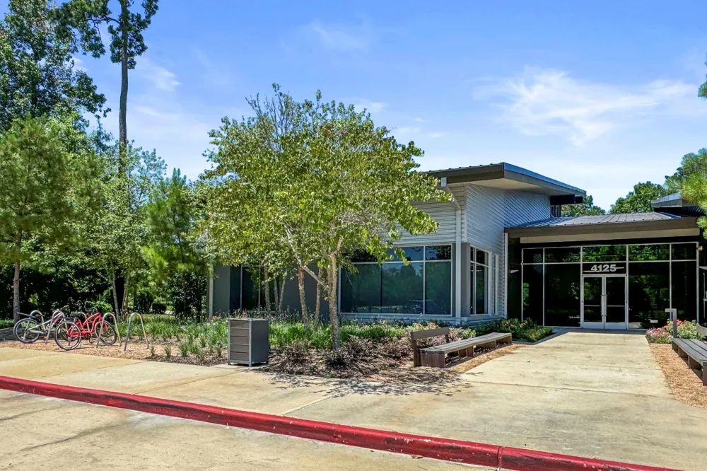 28198 White Meadow Lane Spring, TX 77386