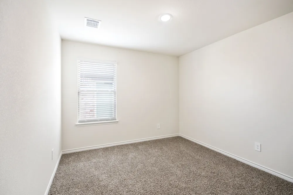 325 Willowmore Drive Little Elm, TX 75068