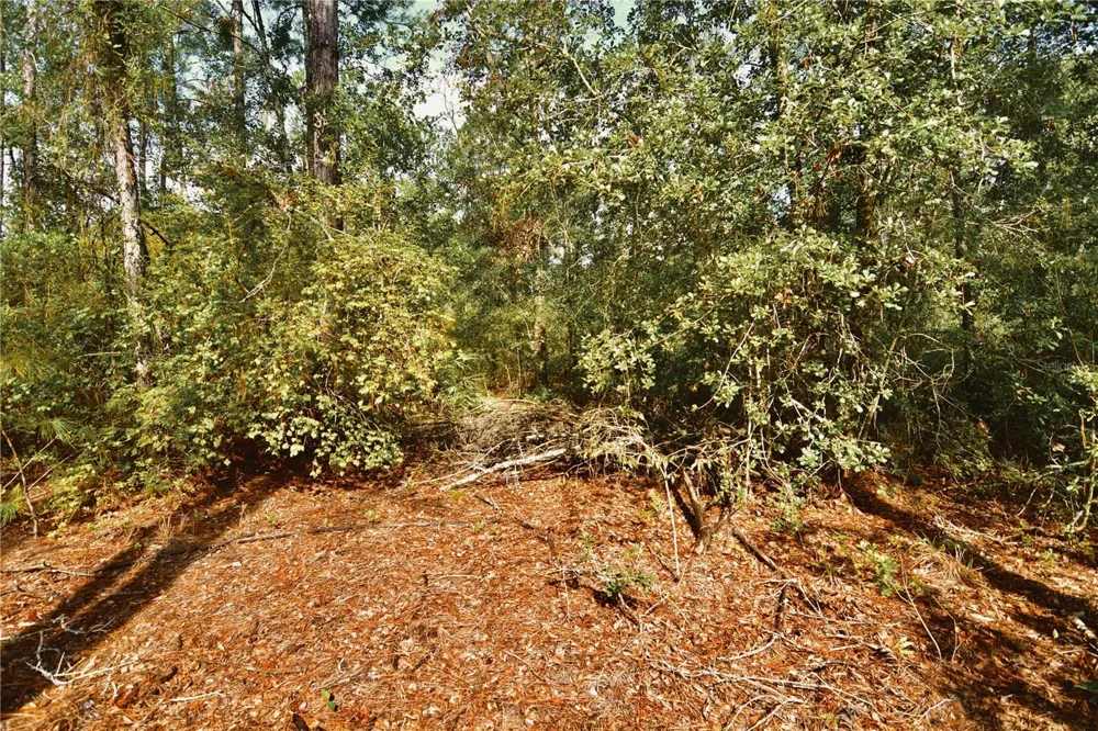 NW 179TH STREET Starke, FL 32091