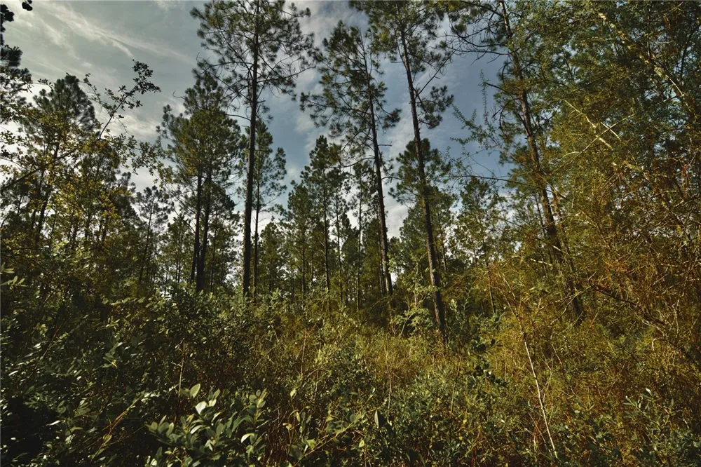 NW 179TH STREET Starke, FL 32091