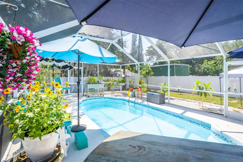 2941 BAY VIEW DRIVE Safety Harbor, FL 34695